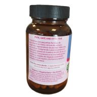 18-SHATAVARI 18-SHATAVARI