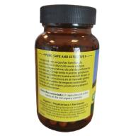 24-GILOY-GUDUCHI 24-GILOY-GUDUCHI