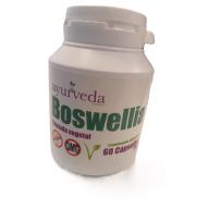 34-BOSWELIA-1 34-BOSWELIA-1