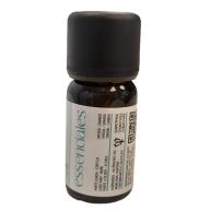 40-ABEDULDULCE-2 40-ABEDULDULCE-2