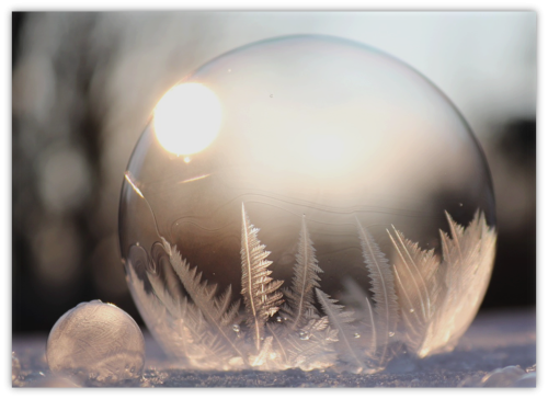 Disfruta del invierno Disfruta del invierno