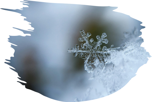 Feliz invierno Feliz invierno