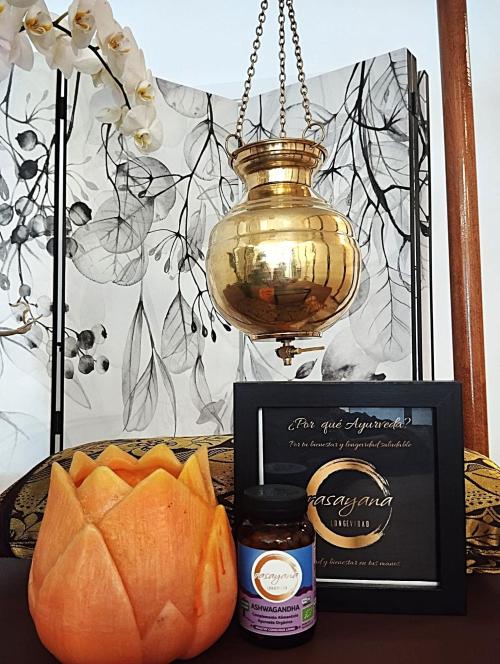 Shirodhara y Ashwagandha. Una asociación ganadora contra el Insomnio. Shirodhara y Ashwagandha. Una asociación ganadora contra el Insomnio.