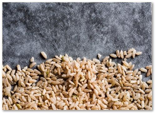 Kichadi suave Kichadi suave