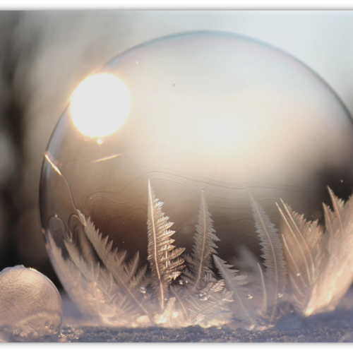 Disfruta del invierno Disfruta del invierno