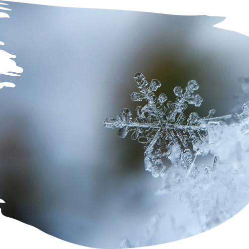 Feliz invierno Feliz invierno