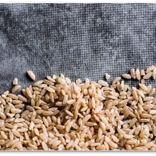 Kichadi suave Kichadi suave