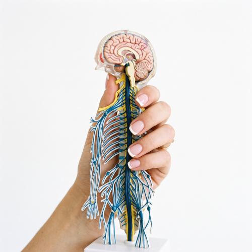 Neuropatías Neuropatías