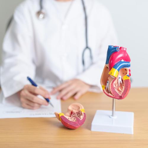 Problemas cardiovasculares Problemas cardiovasculares